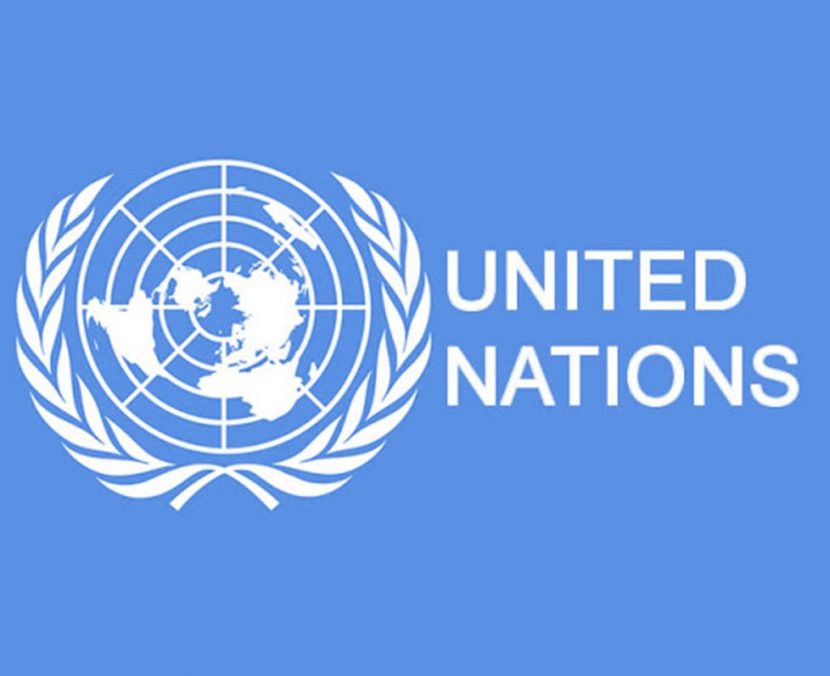 Онлайн курси Організації Об’єднаних Націй